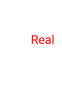 The Real Sweat Equity Logo